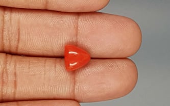 Italian Red Coral - 3.86 Carat Limited Quality TC-5282