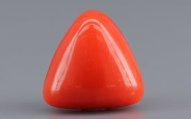 Italian Red Coral - 3.86 Carat Limited Quality TC-5282
