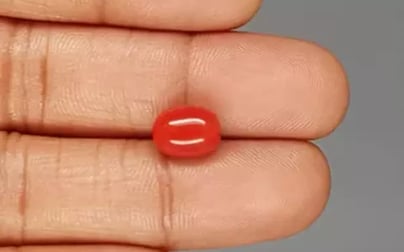 Italian Red Coral - 3.88 Carat Limited Quality CC-5823