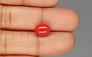Italian Red Coral - 3.88 Carat Limited Quality CC-5823