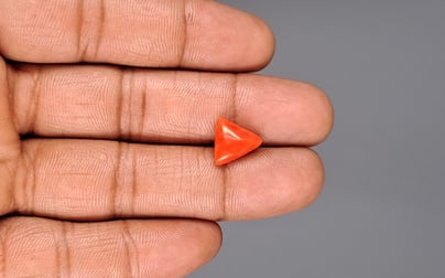 Italian Red Coral - 3.88 Carat Prime Quality TC-5201