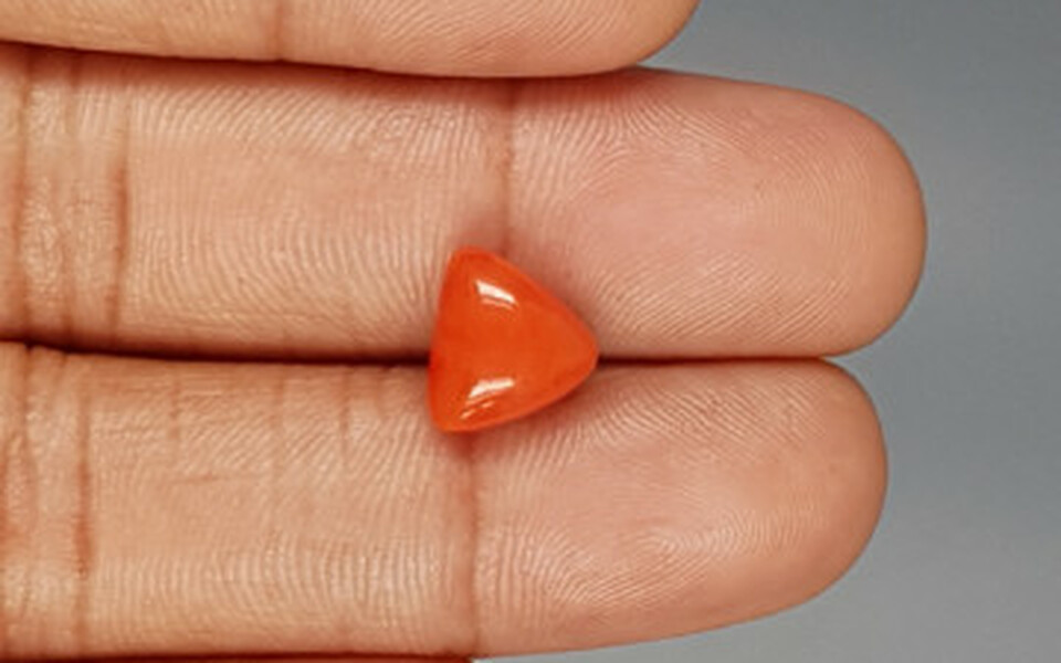 Italian Red Coral - 3.9 Carat Limited Quality TC-5269