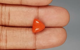 Italian Red Coral - 3.9 Carat Limited Quality TC-5269
