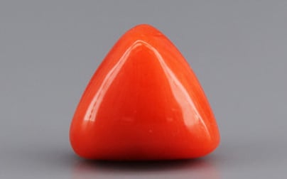 Italian Red Coral - 3.9 Carat Limited Quality TC-5269