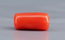 Italian Red Coral - 3.91 Carat Limited Quality CC 5713