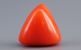 Italian Red Coral - 3.91 Carat Limited Quality TC-5263