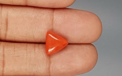 Italian Red Coral - 3.92 Carat Limited Quality TC-5275