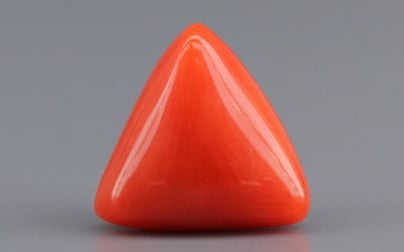Italian Red Coral - 3.92 Carat Limited Quality TC-5275