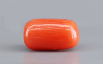 Italian Red Coral - 3.95 Carat Limited Quality CC-5739