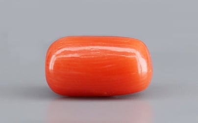 Italian Red Coral - 3.95 Carat Limited Quality CC-5739