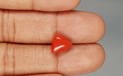 Italian Red Coral - 3.95 Carat Limited Quality TC-5283