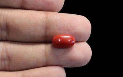 Italian Red Coral - 3.97 Carat Limited Quality CC-5661