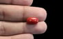 Italian Red Coral - 3.97 Carat Limited Quality CC-5661