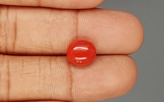 Italian Red Coral - 3.97 Carat Limited Quality CC-5794