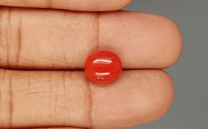 Italian Red Coral - 3.97 Carat Limited Quality CC-5794