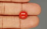 Italian Red Coral - 3.97 Carat Limited Quality CC-5794