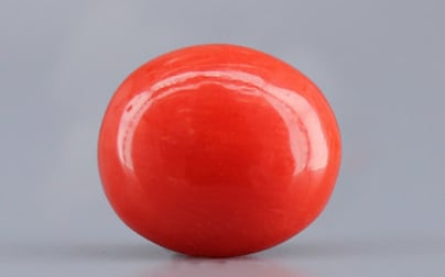 Italian Red Coral - 3.97 Carat Limited Quality CC-5794