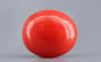 Italian Red Coral - 3.97 Carat Limited Quality CC-5794
