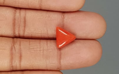 Italian Red Coral - 3.98 Carat Limited Quality TC 5252