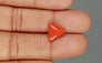 Italian Red Coral - 3.98 Carat Limited Quality TC 5252