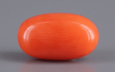 Italian Red Coral - 4.01 Carat Limited Quality CC-5517