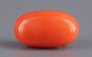 Italian Red Coral - 4.01 Carat Limited Quality CC-5517