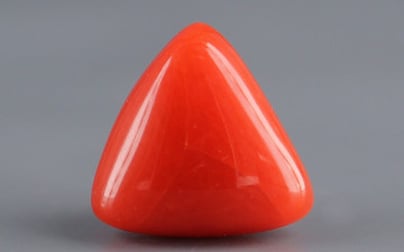 Italian Red Coral - 4.02 Carat Limited Quality TC 5246