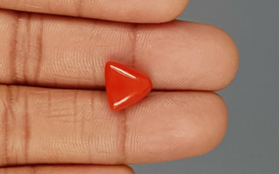 Italian Red Coral - 4.04 Carat Limited Quality TC 5251