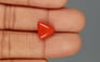 Italian Red Coral - 4.04 Carat Limited Quality TC 5251
