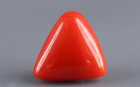 Italian Red Coral - 4.04 Carat Limited Quality TC 5251