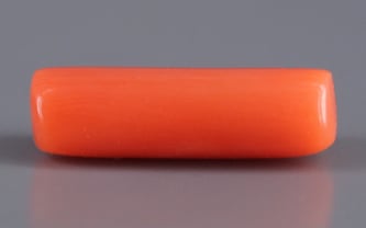 Italian Red Coral - 4.04 Carat Prime Quality CC-5549