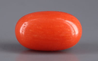 Italian Red Coral - 4.07 Carat Limited Quality CC-5569
