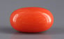 Italian Red Coral - 4.07 Carat Limited Quality CC-5569