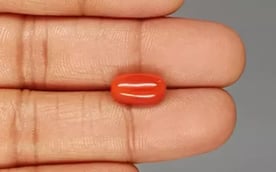 Italian Red Coral - 4.07 Carat Limited Quality CC-5850