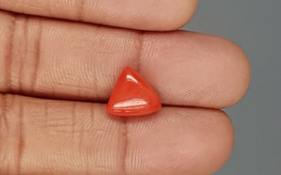 Italian Red Coral -  4.07 Carat Limited Quality TC 5245