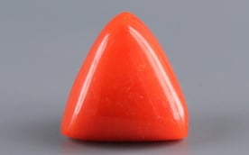 Italian Red Coral -  4.07 Carat Limited Quality TC 5245