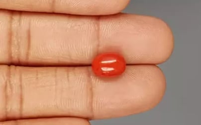 Italian Red Coral - 4.08 Carat Limited Quality CC-5803