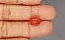 Italian Red Coral - 4.08 Carat Limited Quality CC-5803