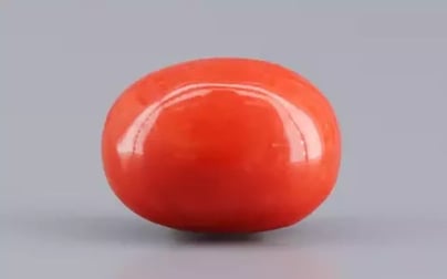 Italian Red Coral - 4.08 Carat Limited Quality CC-5803