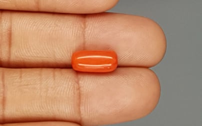 Italian Red Coral - 4.09 Carat Limited Quality CC-5721