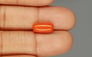 Italian Red Coral - 4.09 Carat Limited Quality CC-5721
