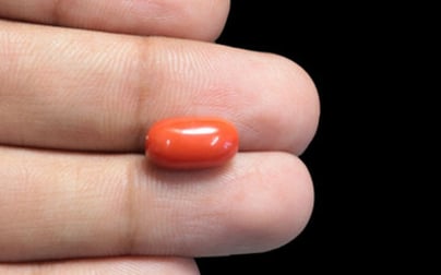 Italian Red Coral - 4.11 Carat Limited Quality CC-5665