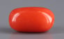 Italian Red Coral - 4.11 Carat Limited Quality CC-5665