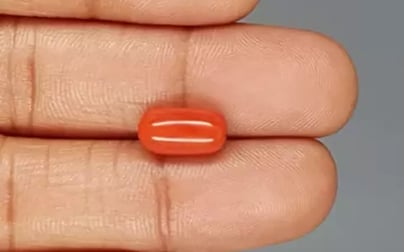 Italian Red Coral - 4.11 Carat Limited Quality CC-5819