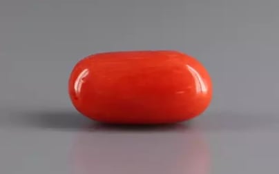 Italian Red Coral - 4.11 Carat Limited Quality CC-5819