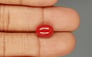 Italian Red Coral - 4.15 Carat Limited Quality CC-5806