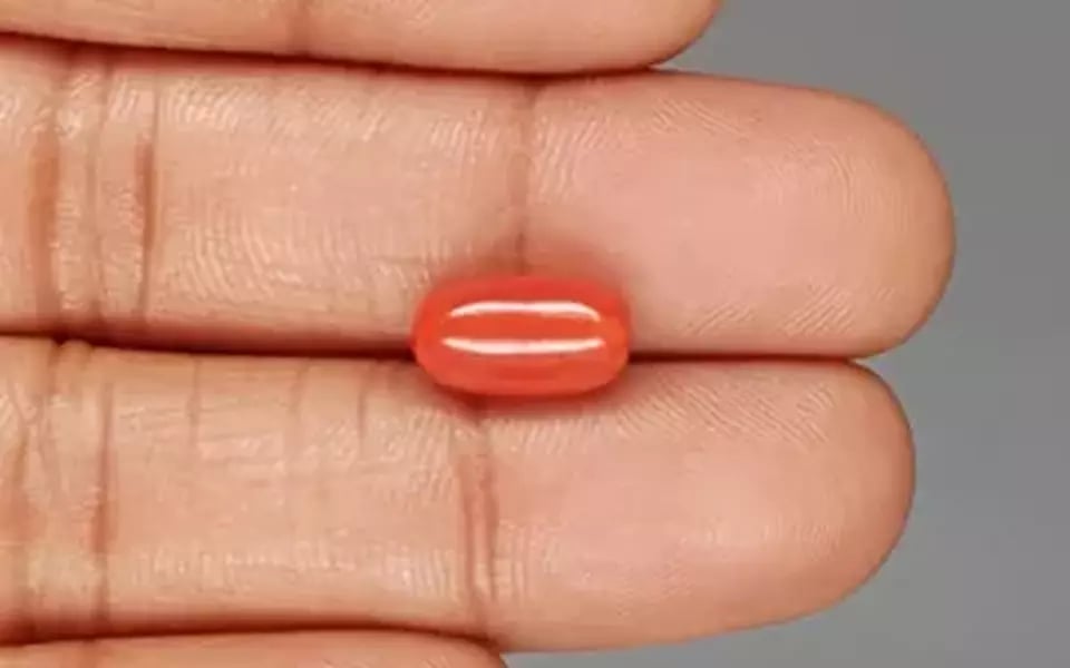 Italian Red Coral - 4.15 Carat Limited Quality CC-5826