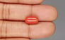 Italian Red Coral - 4.15 Carat Limited Quality CC-5826
