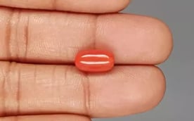 Italian Red Coral - 4.15 Carat Limited Quality CC-5826