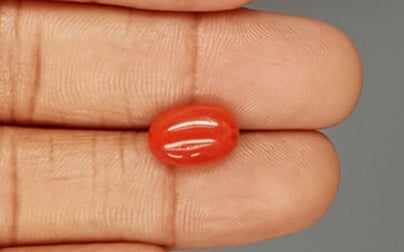 Italian Red Coral - 4.19 Carat Limited Quality CC-5791